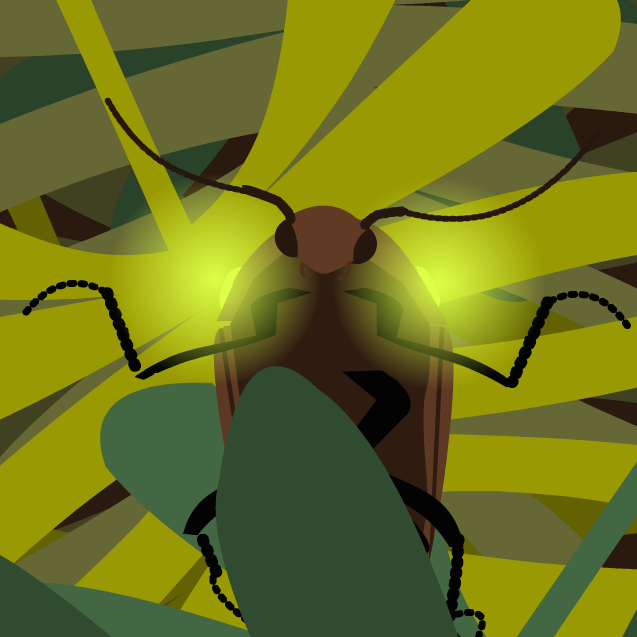 BHR Click Beetle